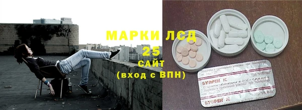 гидра Богданович