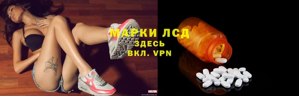 гидра Богданович
