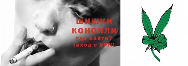 гидра Богданович