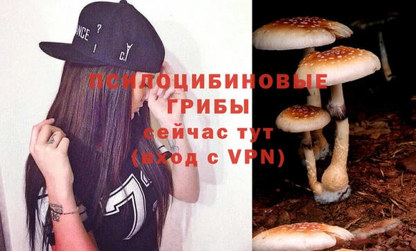 гидра Богданович