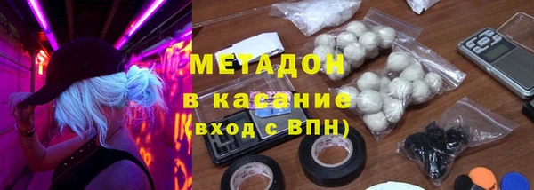 гидра Богданович