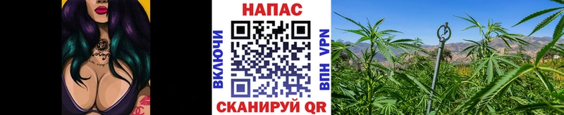 Конопля ГИДРОПОН  Богородицк 